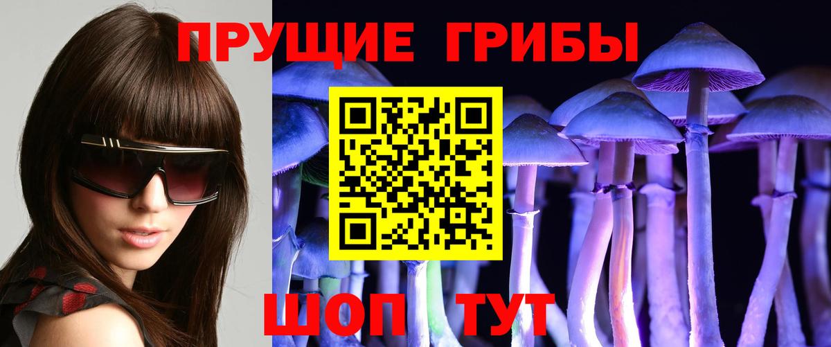 Галлюциногенные грибы Magic Shrooms Красноармейск