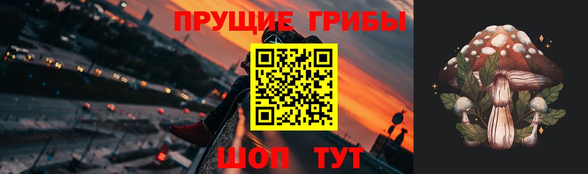 Псилоцибиновые грибы GOLDEN TEACHER  Вход с VPN  как найти закладки  Красноармейск 